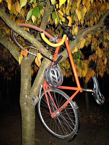Fahrrad / Bike parken im Baum by rcoder