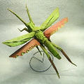 Bild: Basteln mit Papier grasshopper