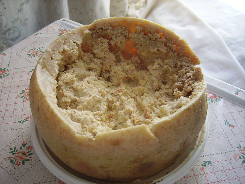 Exotisches Essen: Casu Marzu Käse nach dem die Maden da waren.