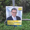 Bild: Hessen-Wahl 2013 - Die FDP wirbt mit Plakaten auf unterstem Niveau