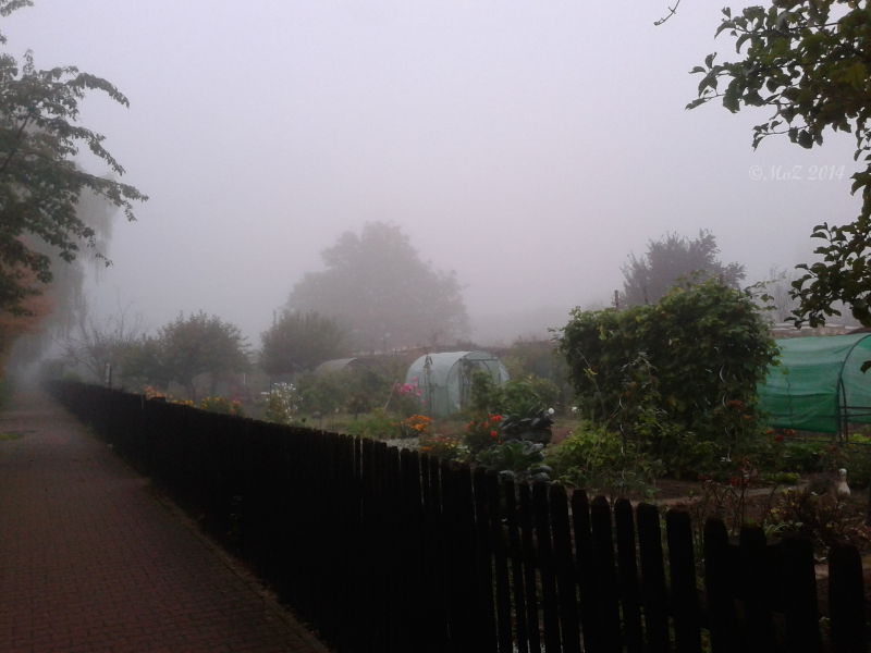 Wenn der Herbst Einzug hält ... die morgendlichen Nebel...