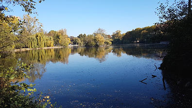 Bild: Frankfurts Ostend: Der Ostpark-Teich